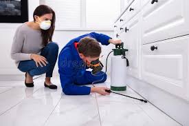 Best Fumigation Services  in Kutztown, PA